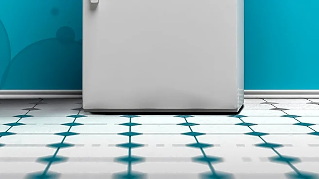 Energy-Efficient Refrigerators Offer Long-Term Savings for Consumers