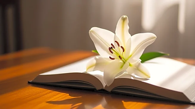 Nicole Kidman Pursues New Role as Death Doula Amidst Ongoing Hollywood Success