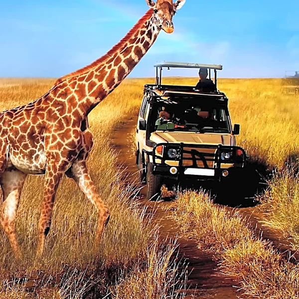 G Adventures Expands National Geographic Signature Collection with 17 New Itineraries