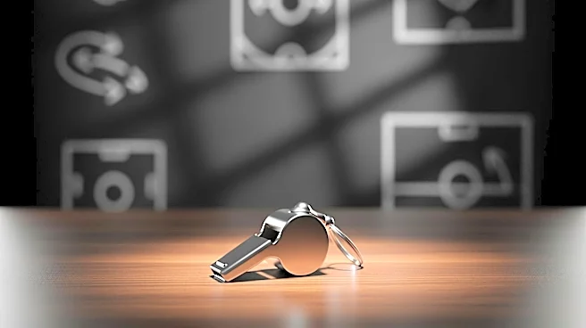 Former Michigan Coach Sherrone Moore Sentenced to Probation