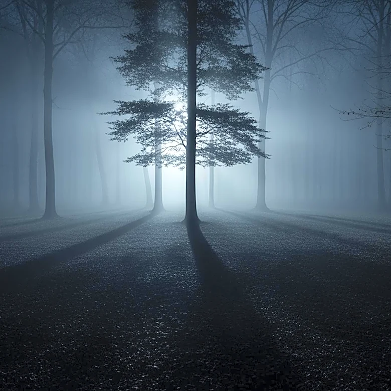 Nicolas Cage and Osgood Perkins to Expand 'Longlegs' Franchise with Sequel