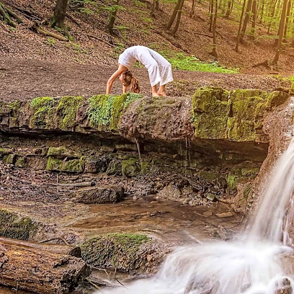 Americans Turn to Forest Bathing for Stress Relief Amid Chaotic News Cycle