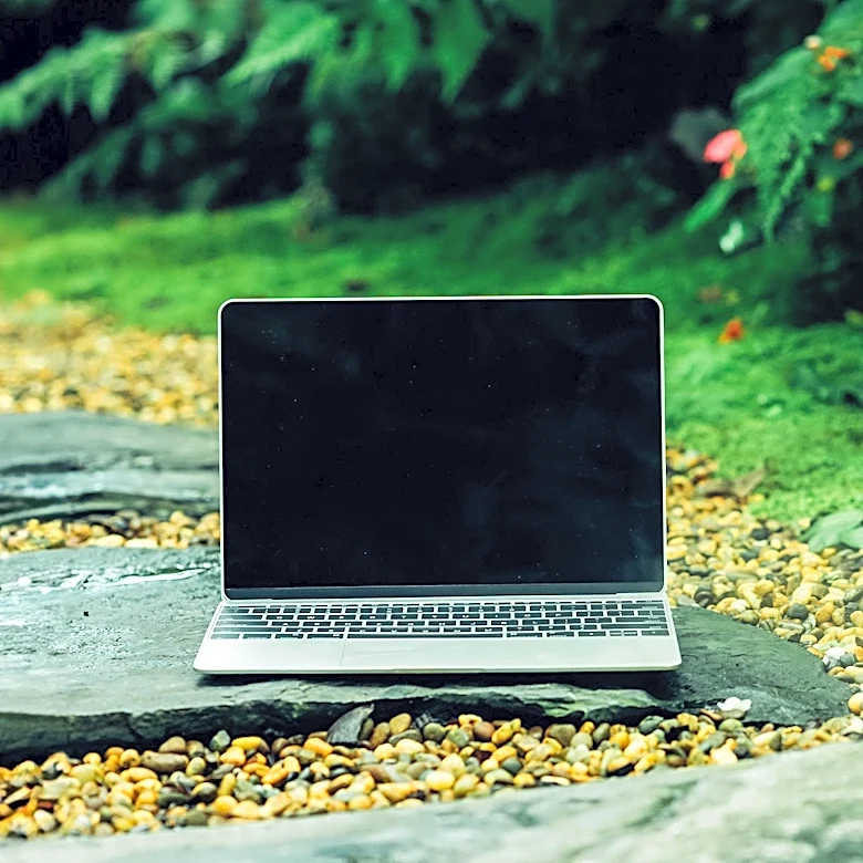 Digital Detox Movement Encourages Americans to Disconnect from Devices