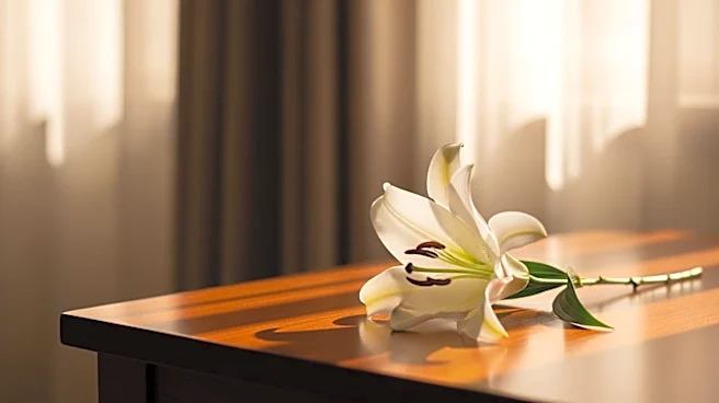 Nicole Kidman Pursues New Role as Death Doula Amid Hollywood Success