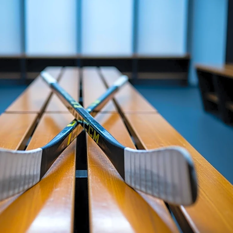 Washington Capitals Loan Players to Hershey Bears Following Season Conclusion