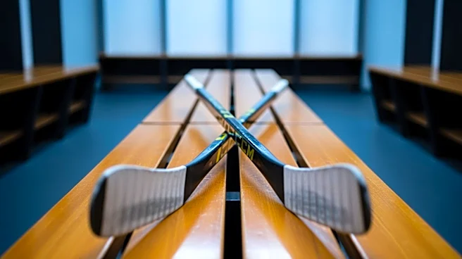 Washington Capitals Loan Players to Hershey Bears Following Season Conclusion