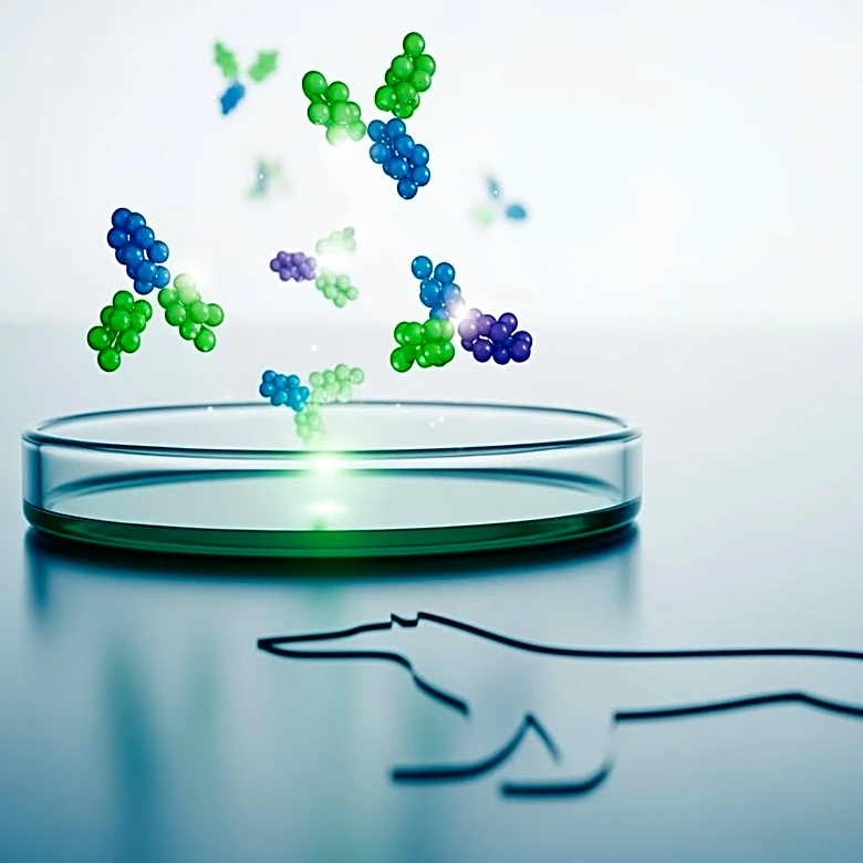 BioTesserae Advances Canine Cancer Treatment with PD-1 Antibody Study