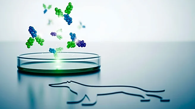 BioTesserae Advances Canine Cancer Treatment with PD-1 Antibody Study