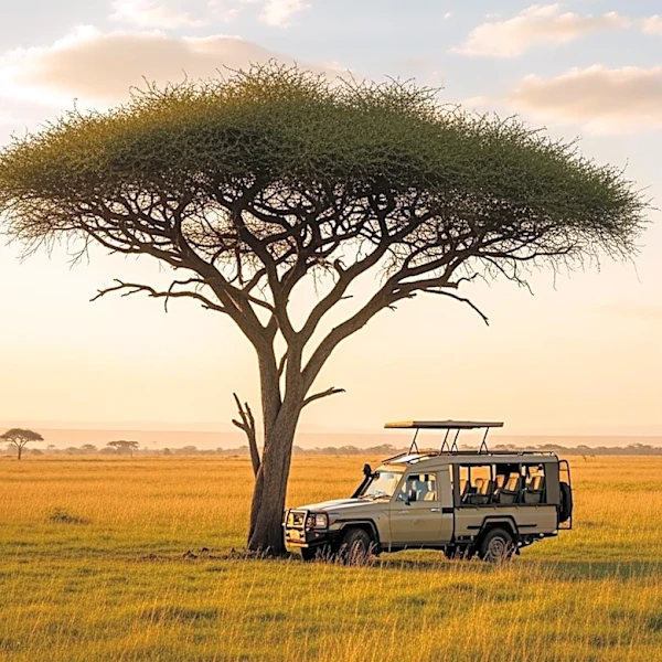 US Safari Tourism Sees Significant Growth with Increased Activity Participation