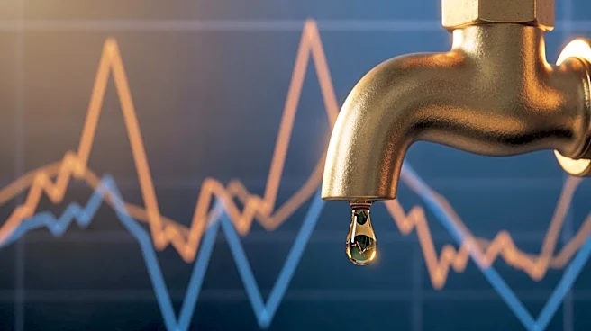 Oil Price Volatility Raises Concerns Over Long-Term Economic Stability