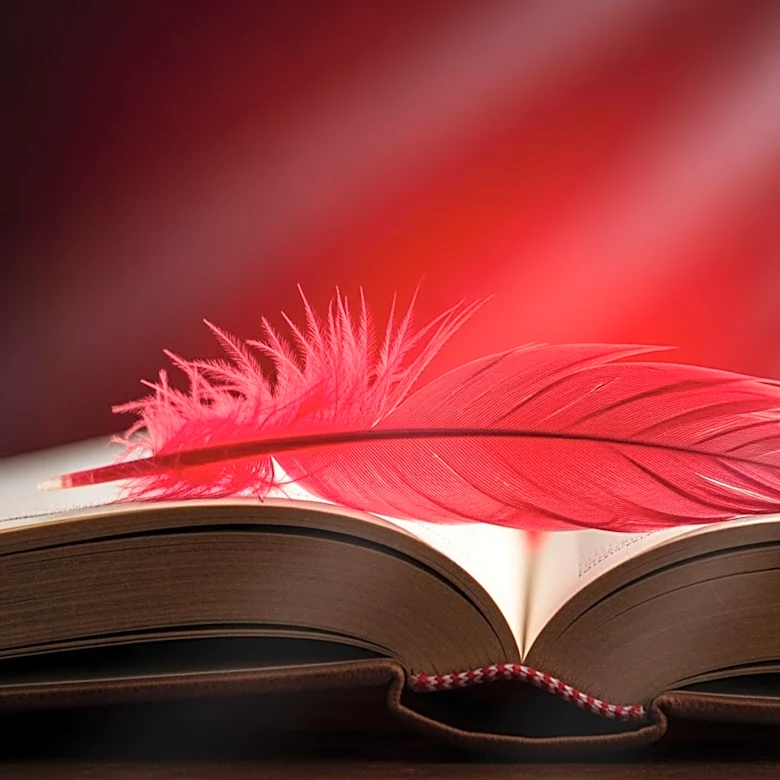 Louisville Cardinals Secure Commitment from Arkansas Transfer Karter Knox