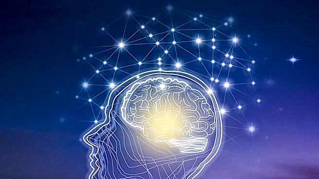 Study Links Lifelong Mental Stimulation to Reduced Alzheimer's Risk