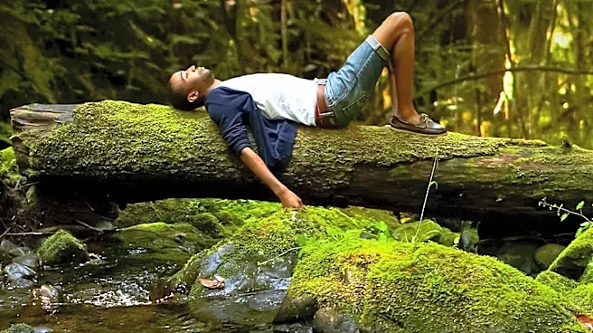 Forest Therapy Guides Lead Nature Retreats to Combat Stress from Chaotic News