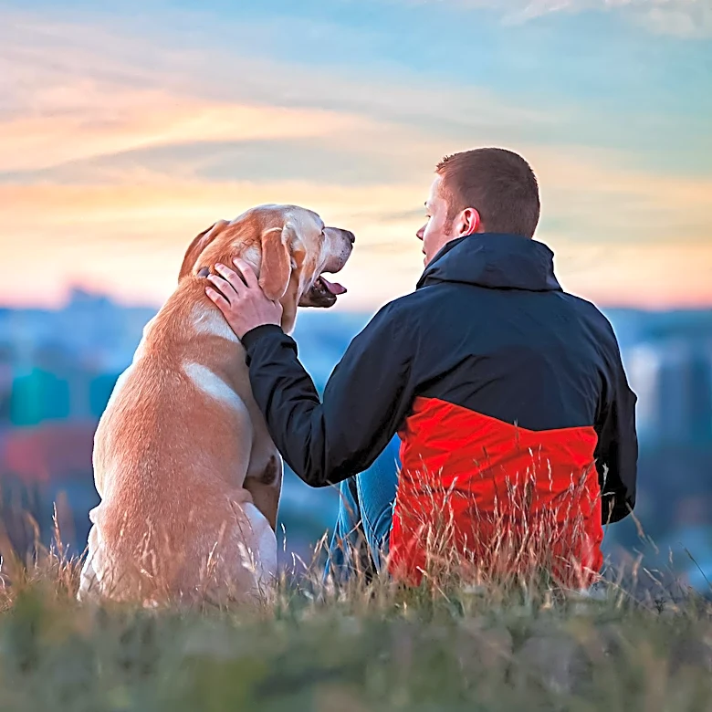New Hampshire Dog Forms Unlikely Friendship with FedEx Driver