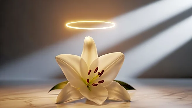 Anne Hathaway Credits Beyoncé for Finding Her 'Swag' in 'Mother Mary'