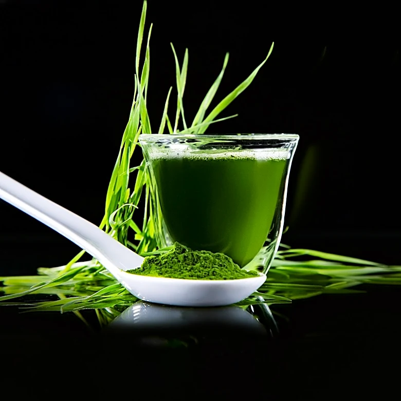 The Growing Trend of Dietary Supplements: Health Benefits and Concerns