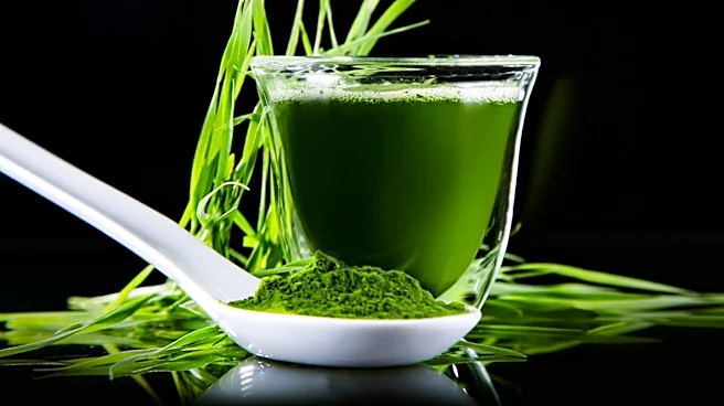 The Growing Trend of Dietary Supplements: Health Benefits and Concerns