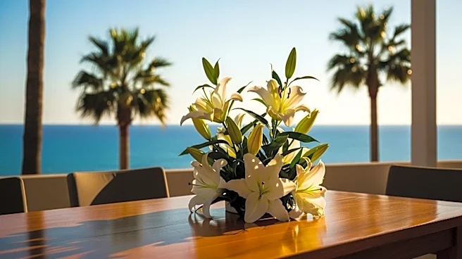 'The White Lotus' Season 4 to Feature Cannes Film Festival Setting