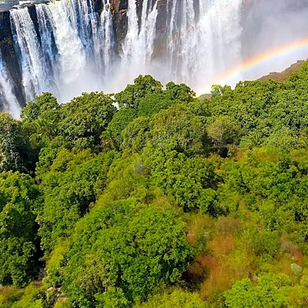 Avani Victoria Falls Resort Offers Refreshed Experience with Nature-Inspired Design