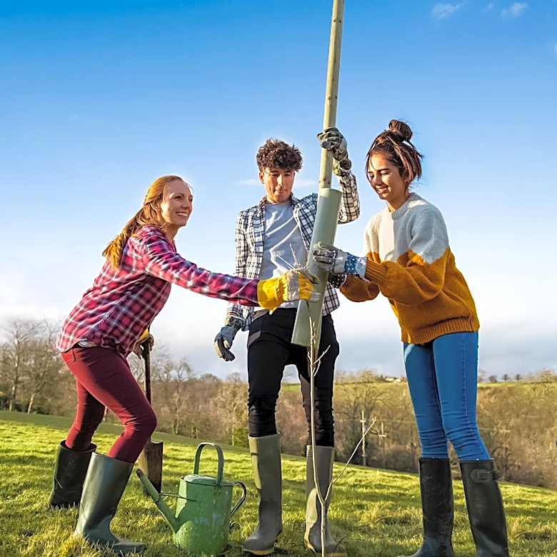 Bachman’s Nursery Expert Provides Guidance on Tree Selection and Planting for Long-Term Impact