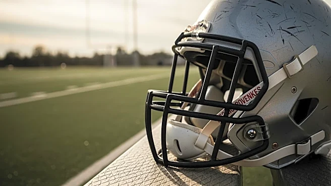 Georgia Bulldogs Face Defensive Challenge After Amaris Williams' Injury