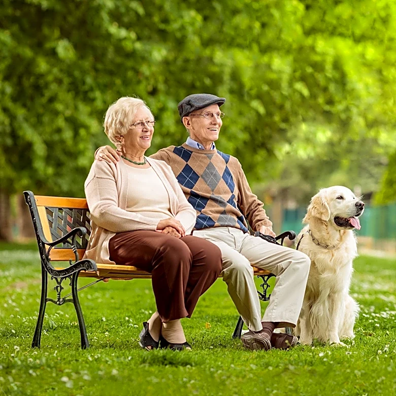 Grandmother and Neighbor's Dog Forge Unique Gardening Bond
