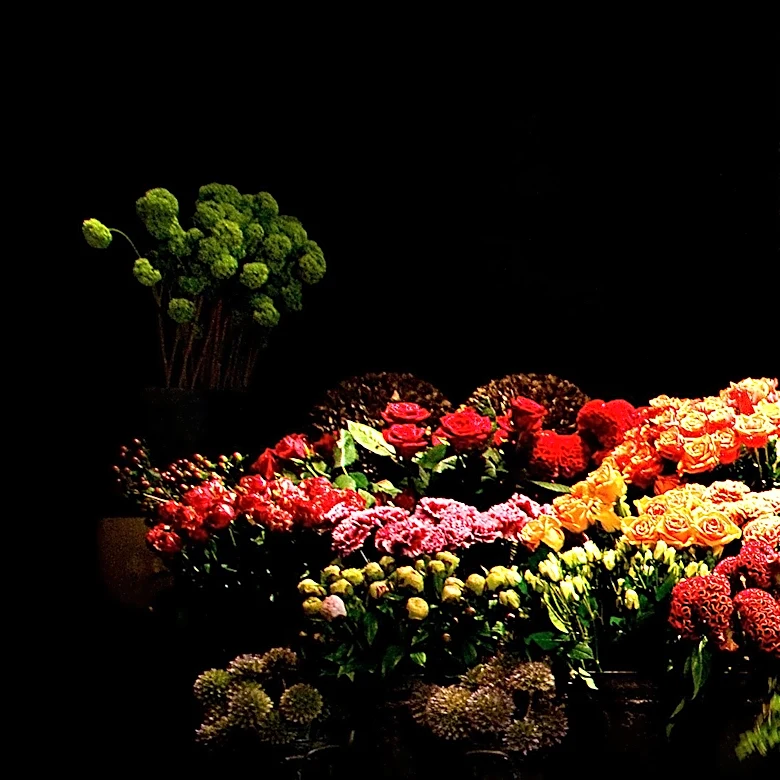 Macy's Annual Flower Show Returns to Herald Square, Showcasing Thousands of Blooms