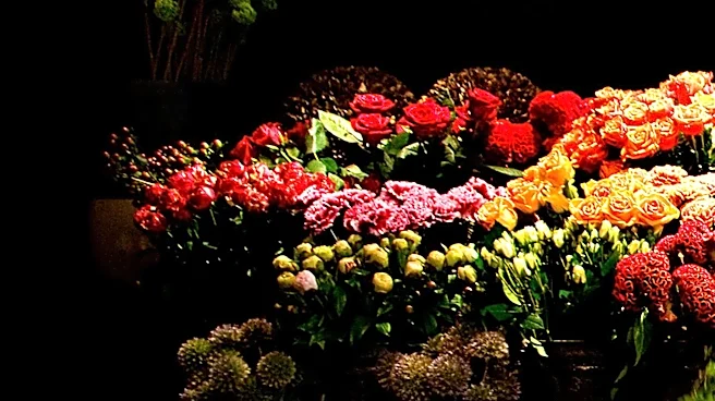Macy's Annual Flower Show Returns to Herald Square, Showcasing Thousands of Blooms