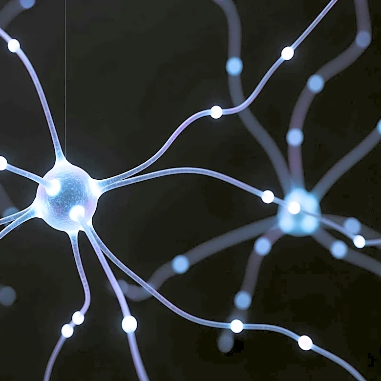 CONNECTA Therapeutics Advances Neuroplasticity Modulators for Fragile X Syndrome Treatment