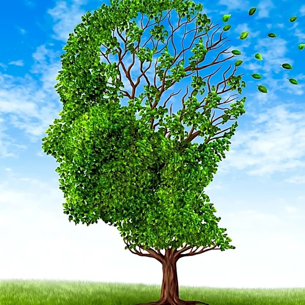 Word-Finding Difficulty Identified as Early Indicator of Cognitive Decline