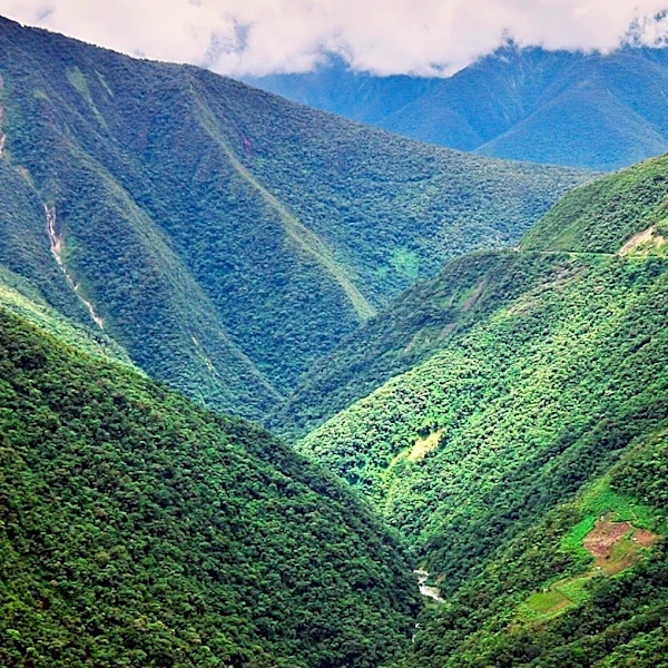 Sibling Reunion in Ecuador: A Trek Through Remote Landscapes Strengthens Bonds