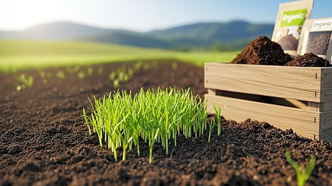 Patagonia and Rodale Institute to Transition Ventura County to Regenerative Agriculture