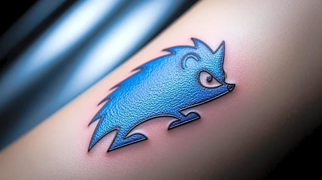 Detroit Lions' Jahmyr Gibbs Unveils New Back Tattoo Featuring Sonic the Hedgehog