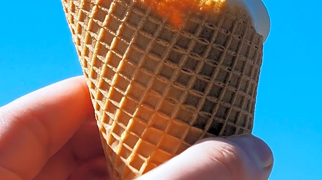 Molly V's Ice Cream Flavor Contest Deadline Approaches in Victor