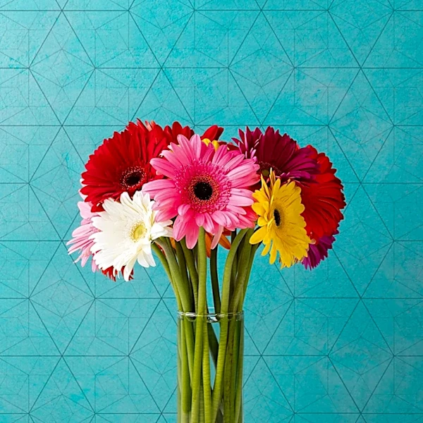 Dallas Teens Deliver Flowers to Support People in Recovery