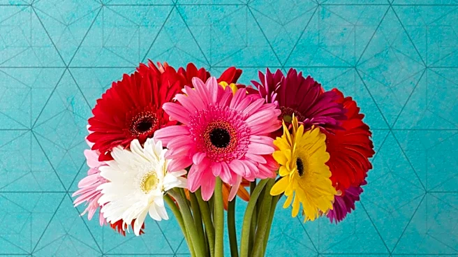 Dallas Teens Deliver Flowers to Support People in Recovery