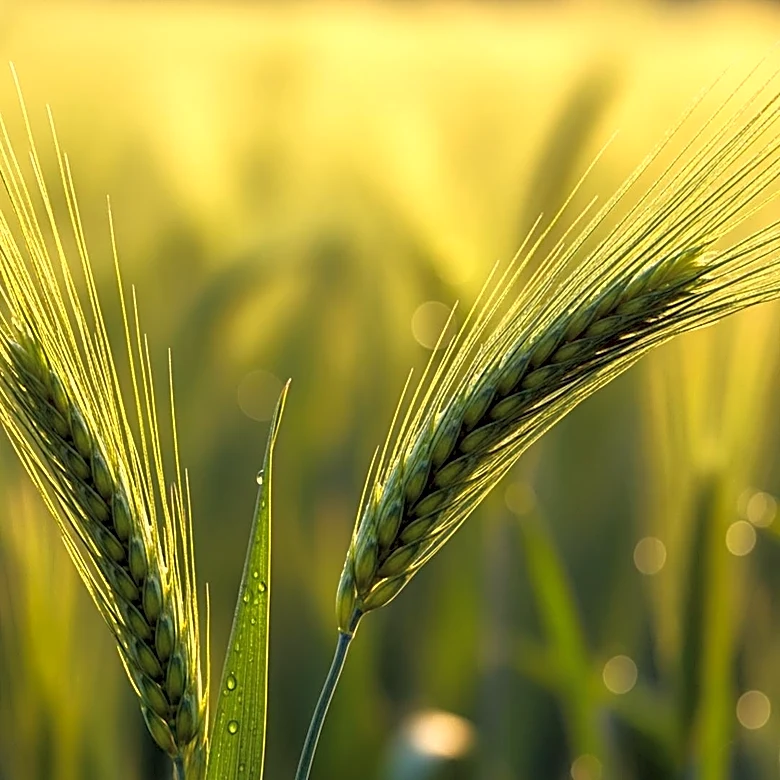 MarketBeat Highlights Key Agriculture Stocks for Investor Watchlist