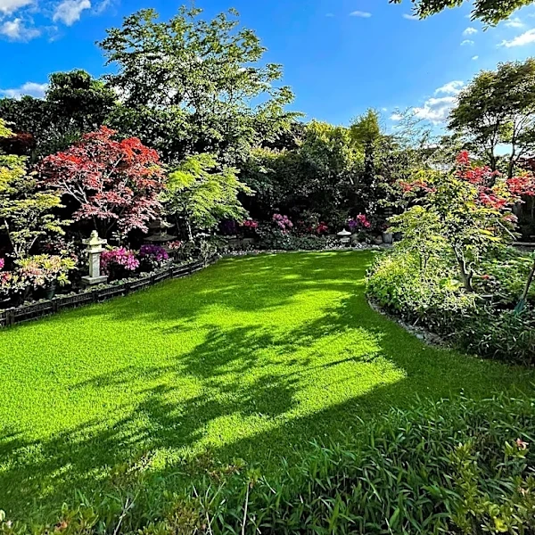 Judi Dench's Garden: A Tribute to Lost Loved Ones and Nature's Beauty