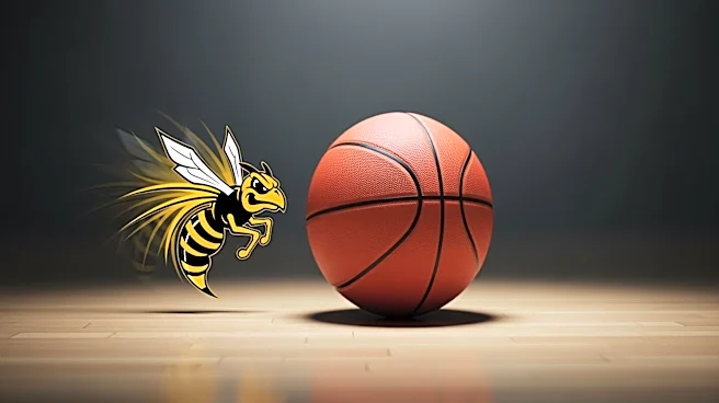 Sion James Assures Hornets Fans About Kon Knueppel's Performance