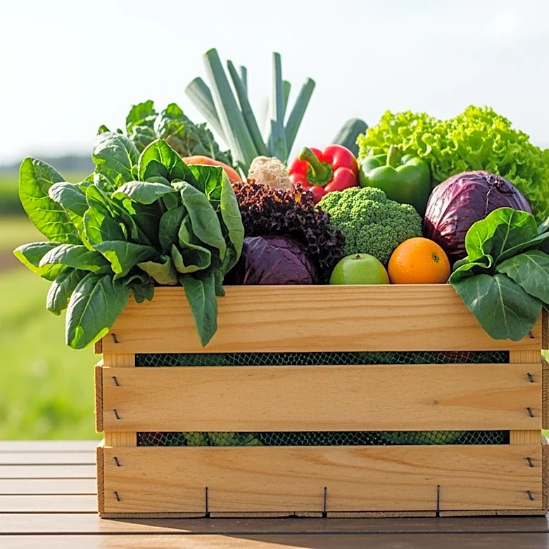 Selangor's RM131 Million Initiative to Strengthen Food Sector Resilience