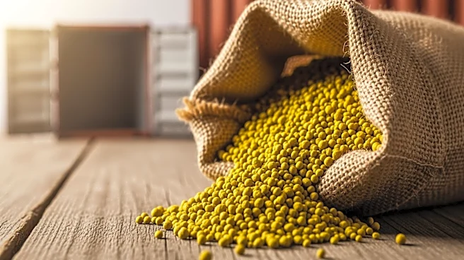 U.S. Fertilizer Buyers Redirect Imports Overseas Amid Iran Conflict