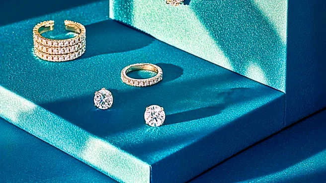 Tiffany  Co. Unveils 'Secret Garden' Collection at New York Event