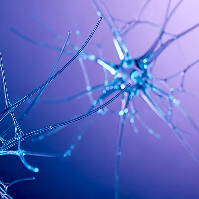 CONNECTA Therapeutics Advances Neuroplasticity Modulators for Fragile X Syndrome