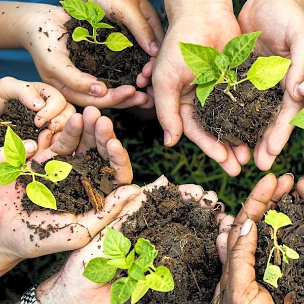 Metro Atlanta Students Compete in Green Heart STEM Challenge for Climate Solutions
