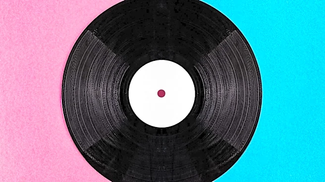 Vinyl Records Thrive in Chicago Amid Digital Music Dominance