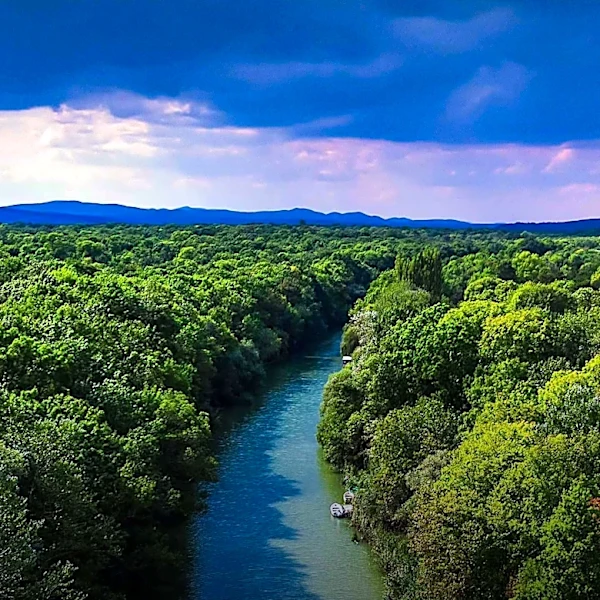 Patoka River Refuge Hosts Free Tree Giveaway for Earth Day in Indiana