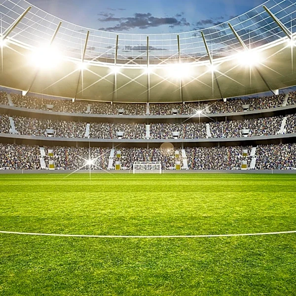 Leadership Lessons from Sports: Insights for the Hospitality Industry
