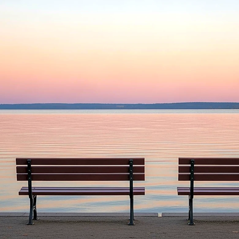 Megan Rapinoe and Sue Bird Announce Separation After Nearly a Decade Together