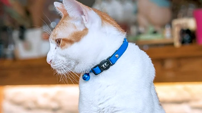 Tractive Launches Health-Tracking Pet Collars to Enhance Pet Care