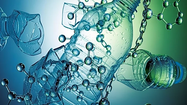 New Study Highlights Compatibilizers' Role in Recycling Plastic Water Bottles